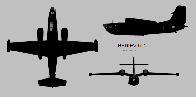 Beriev R-1