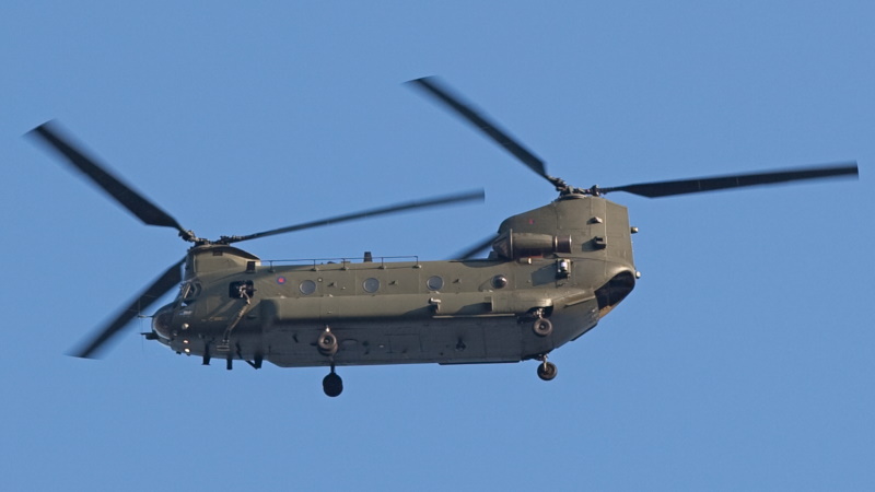 British Chinook