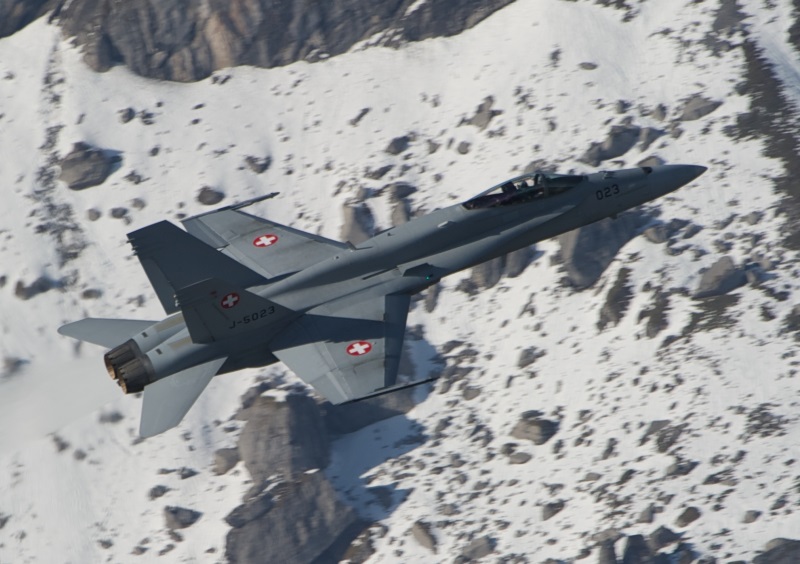 Swiss Hornet