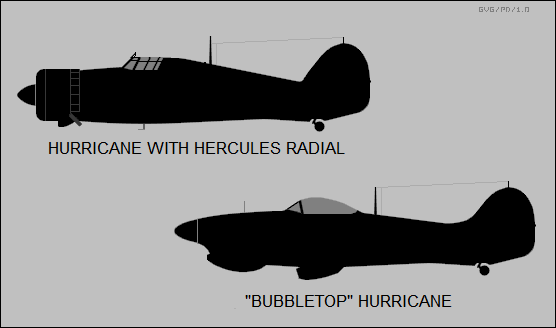 WHAT-IF Hurricanes